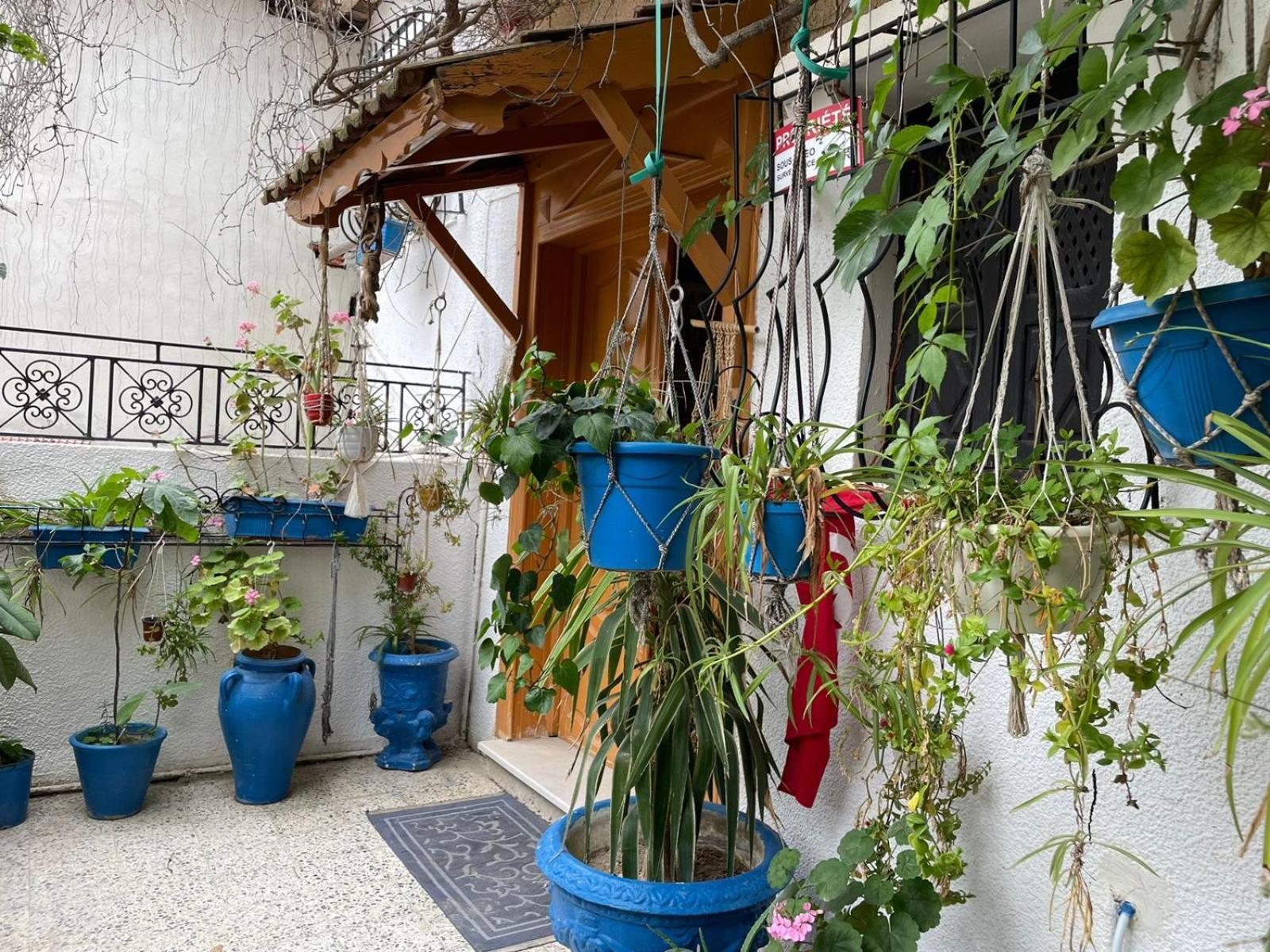Casa Zitouna - Guest House - Kef, Tunisia Sicca Veneria Kültér fotó