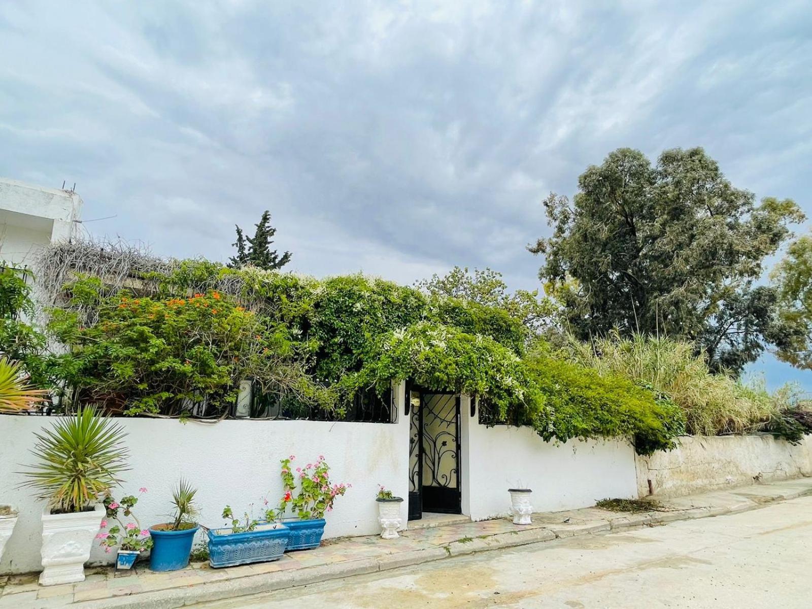 Casa Zitouna - Guest House - Kef, Tunisia Sicca Veneria Kültér fotó